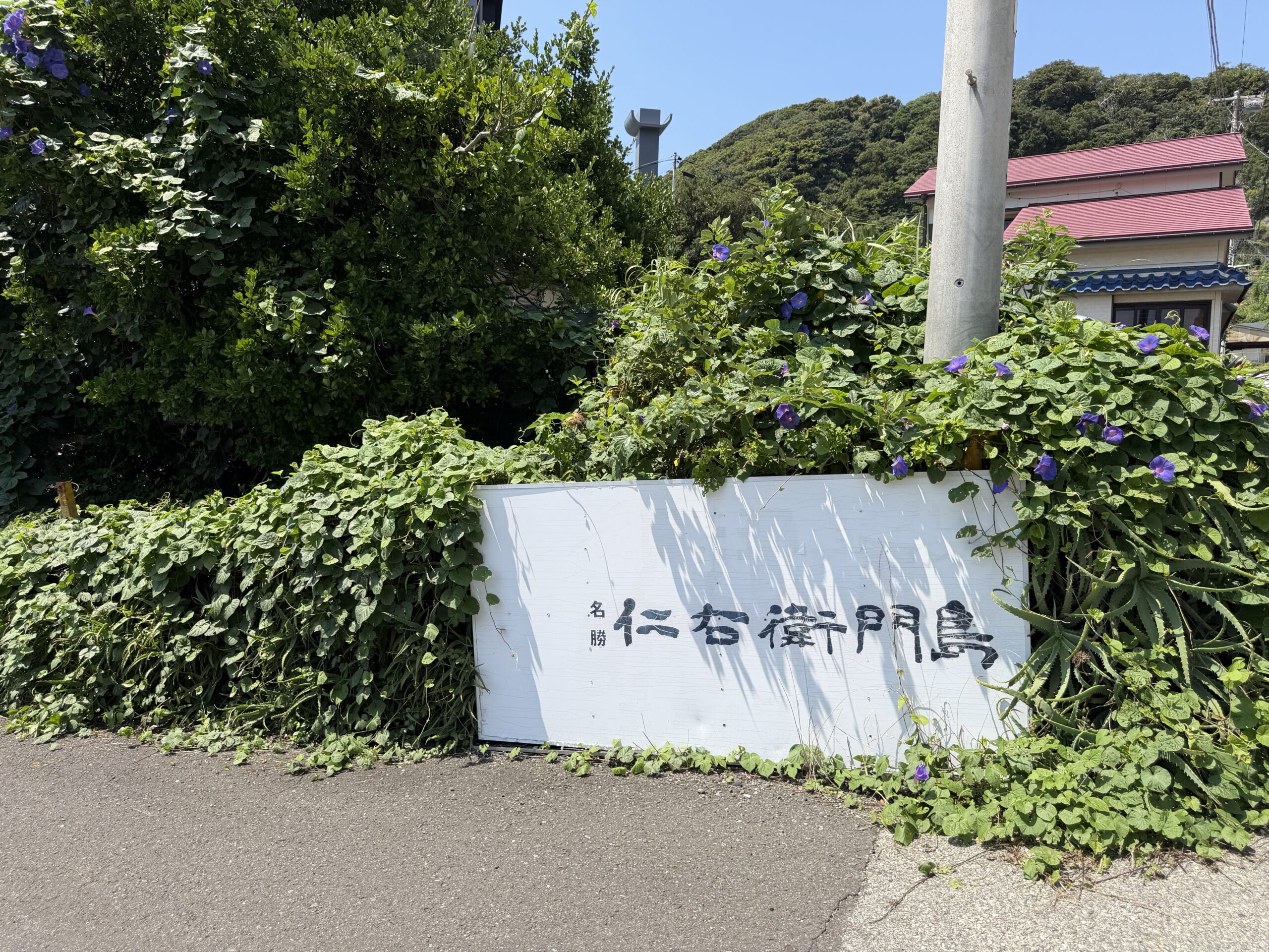 朝顔に囲まれた仁右衛門島の案内看板