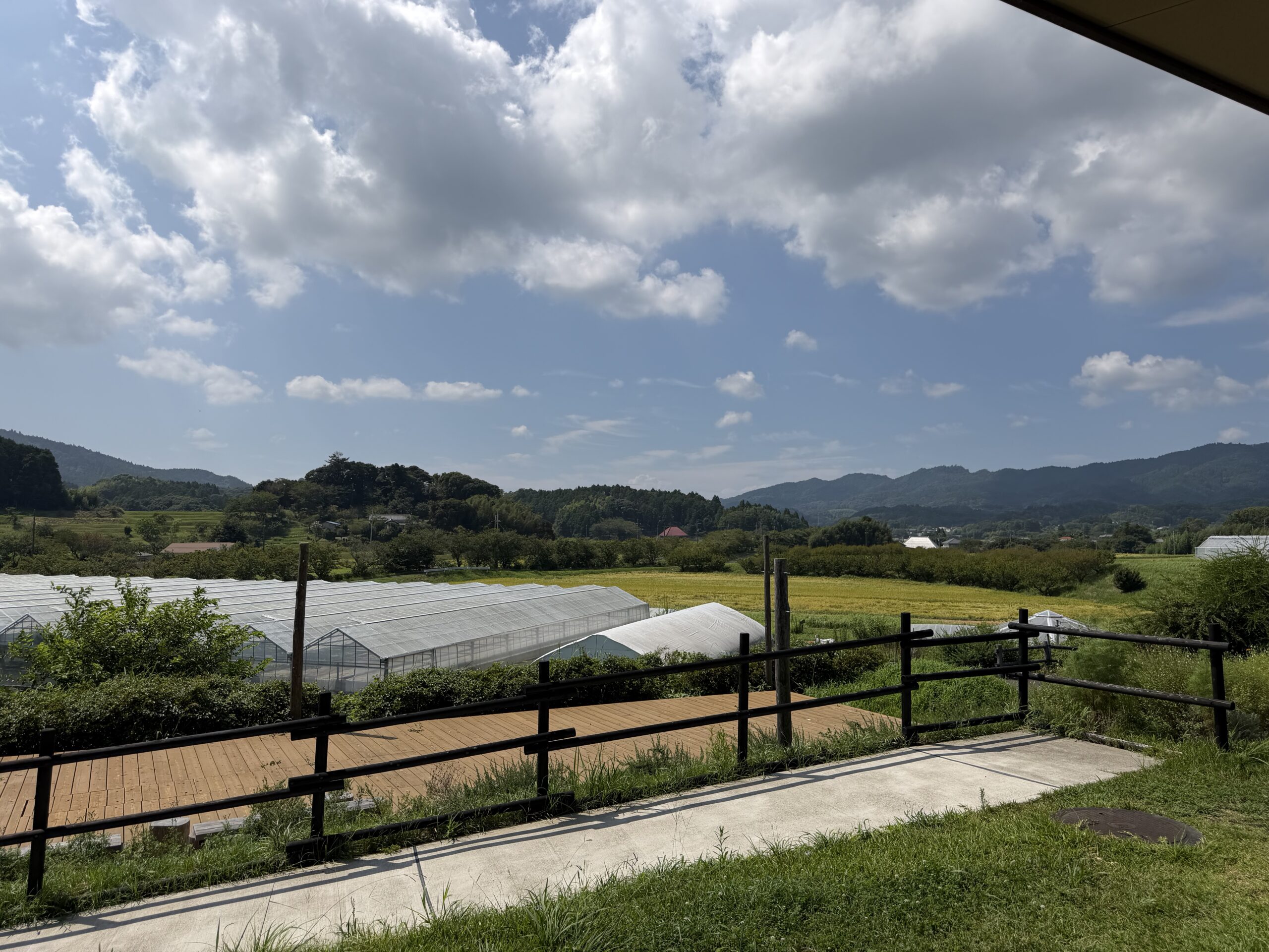 みんなみの里から眺める田んぼと山並み